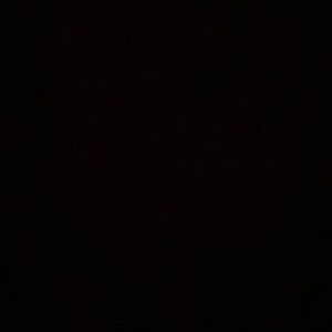 Meet your Posher, Gustavo